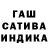 Каннабис OG Kush Sabina Temirbayeva