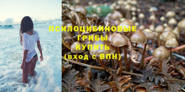 твердый Арсеньев