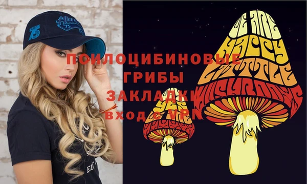 твердый Арсеньев