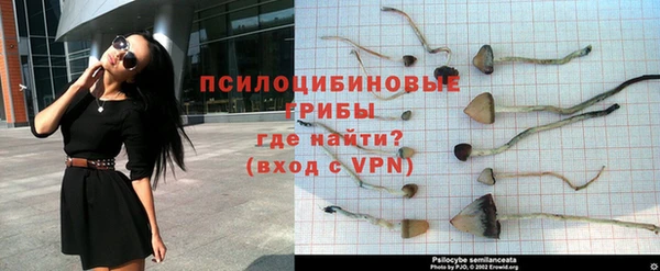 стаф Армянск