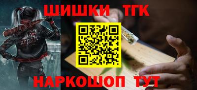 мдпв Кингисепп
