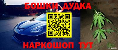 мдпв Кингисепп