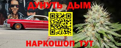 мдпв Кингисепп