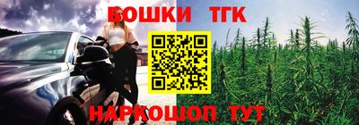 мдпв Кингисепп
