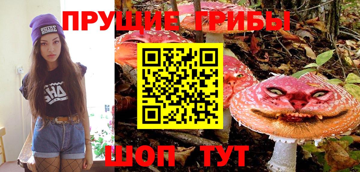 Галлюциногенные грибы MAGIC MUSHROOMS  Псилоцибиновые грибы Psilocybine cubensis  Миасс  Вход с VPN 