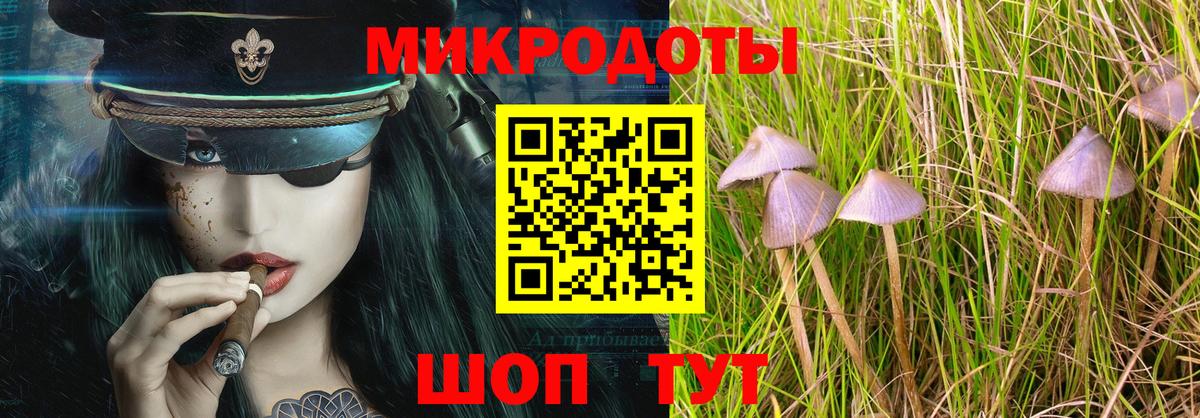 Галлюциногенные грибы прущие грибы Миасс