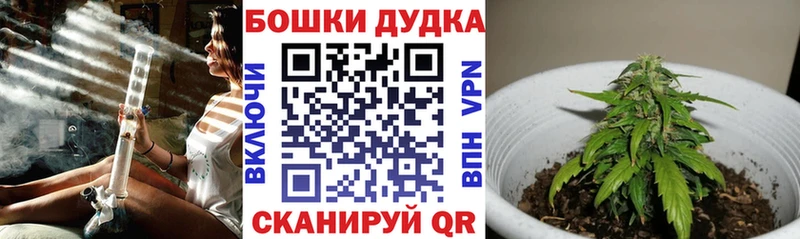 Канабис Amnesia Миасс