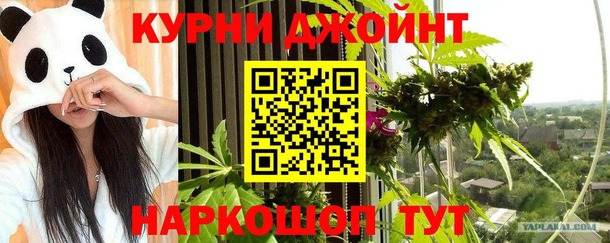 Марихуана планчик  Каннабис White Widow  Вход с VPN  Бошки марихуана Amnesia  Марихуана SATIVA & INDICA  Миасс 